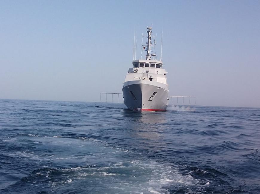 Les Navires de la Marine nationale