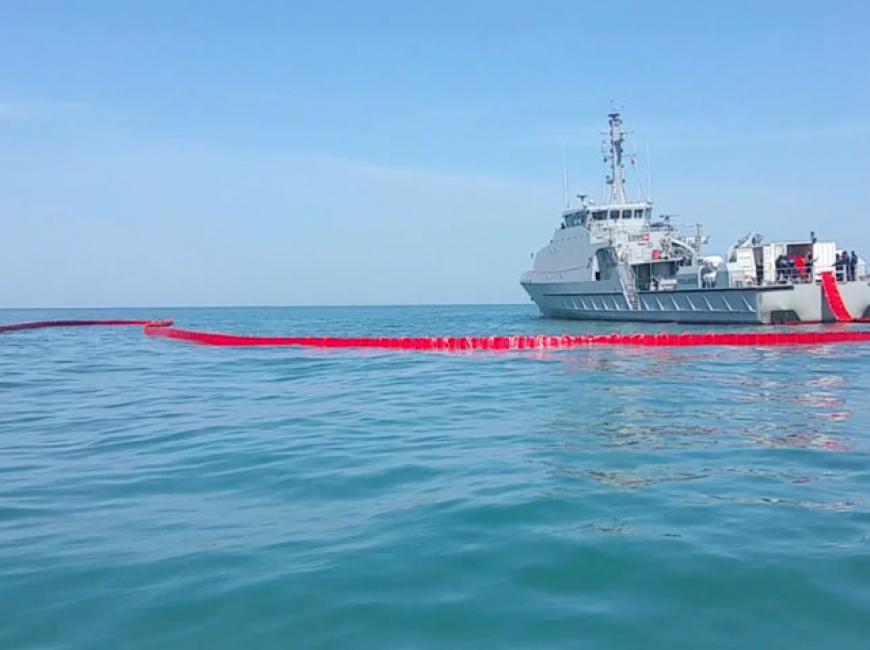 Les Navires de la Marine nationale