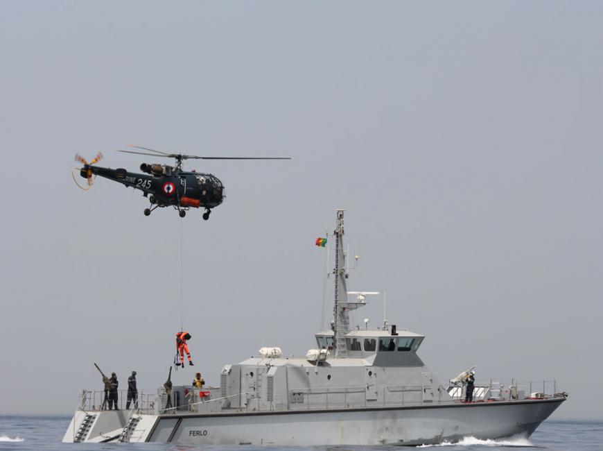 Les Navires de la Marine nationale