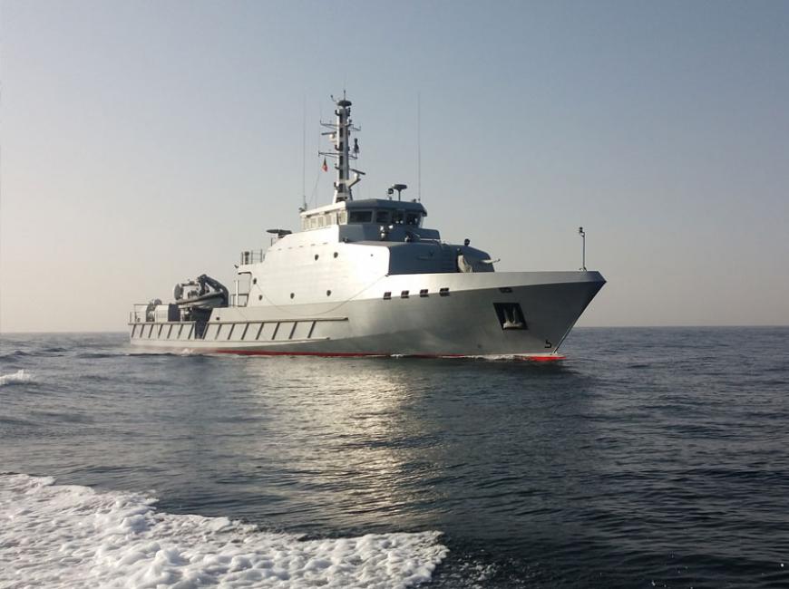 Les Navires de la Marine nationale