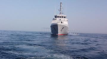 Les Navires de la Marine nationale